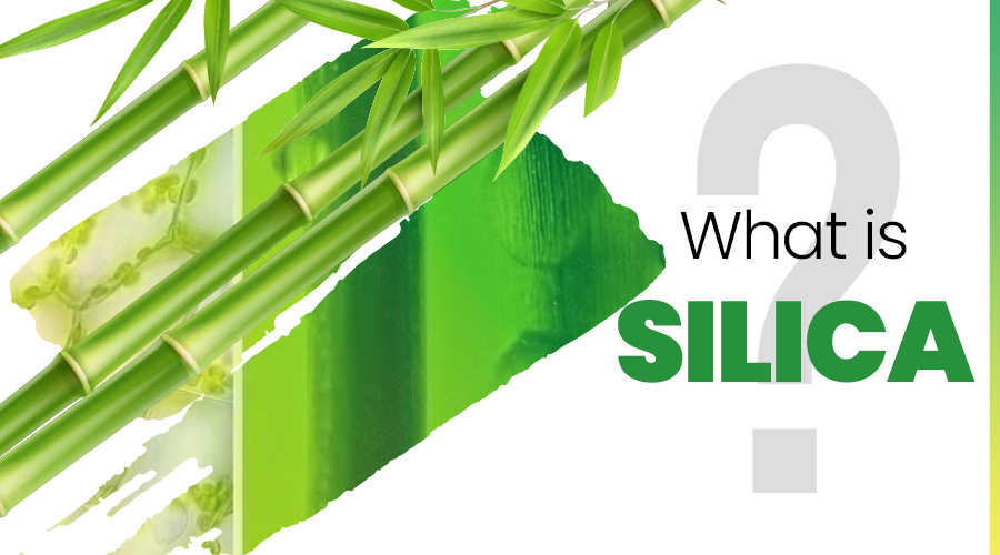 What is Silica: Benefits of Silica on Hair, Skin and Nails | Winzera Blogs