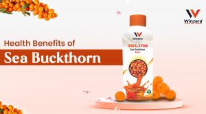 Sea Buckthorn 